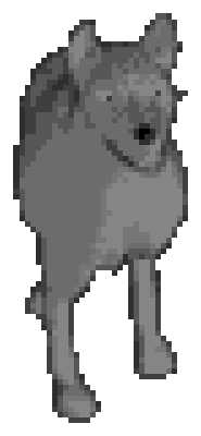 Ash wolf